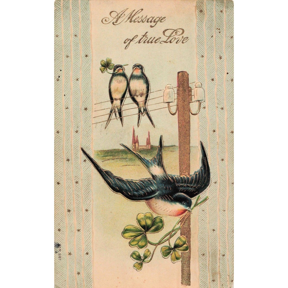 1909 Sheboygan Falls WI Postcard Swallows Clover Message True Love Embossed - Picture 1 of 2